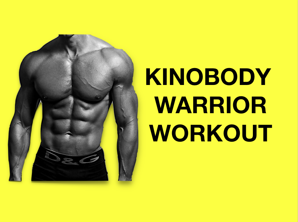 kino workout kinobody warrior shredding program