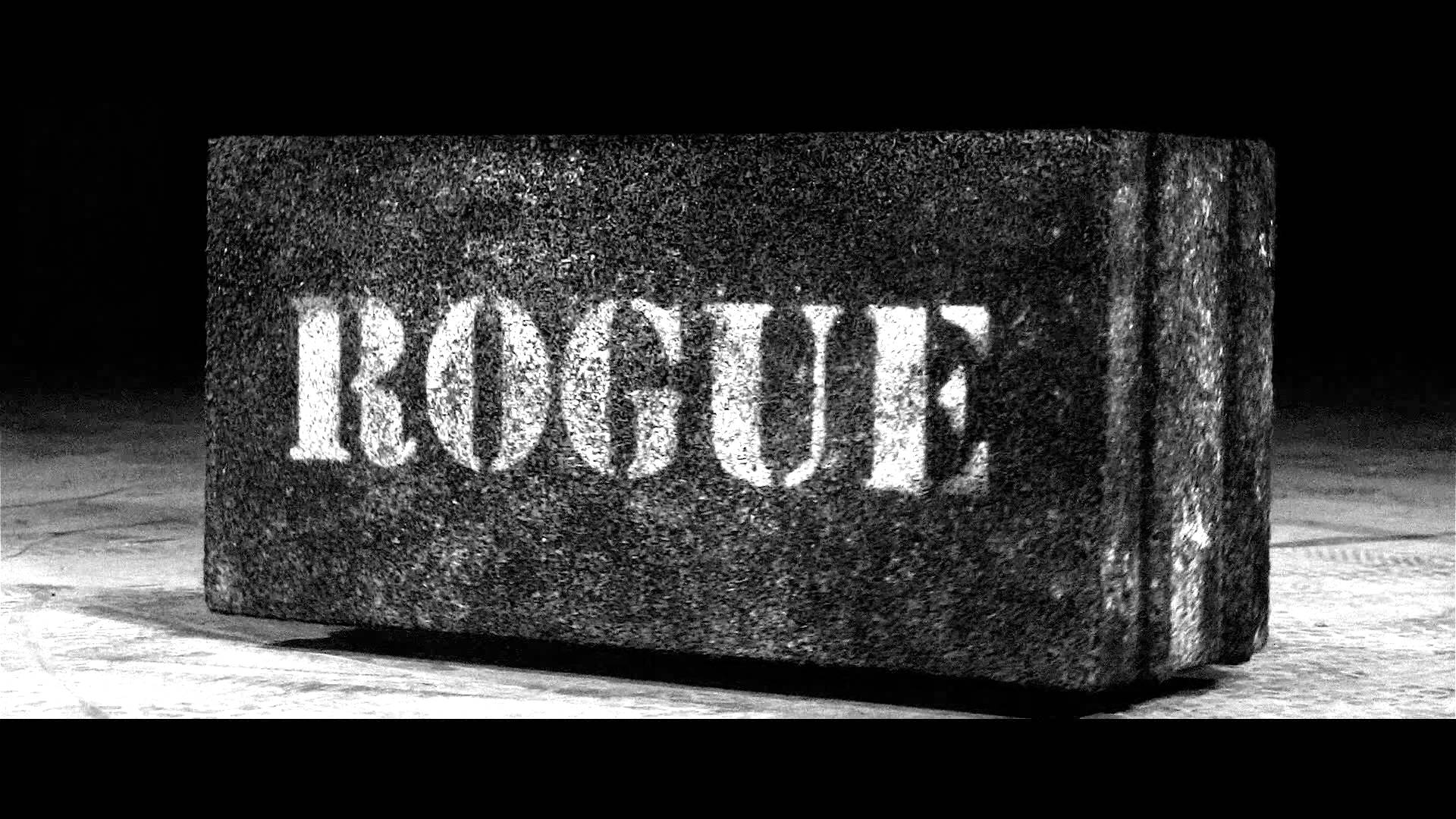 The Rogues Code
