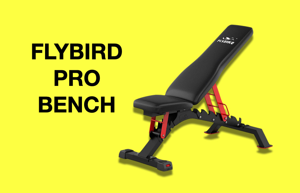 Flybird Pro Adjustable Bench Review - (BEST Flybird Bench?)