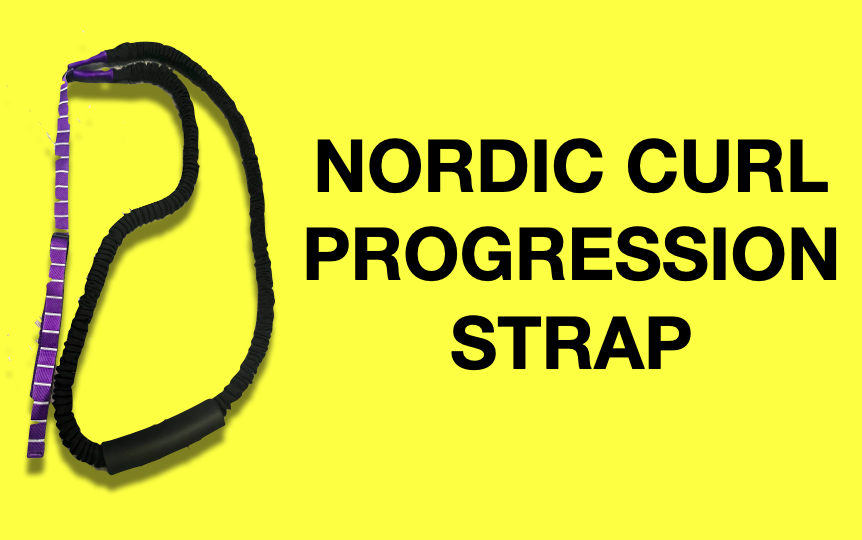 nordic curl progression strap reviews