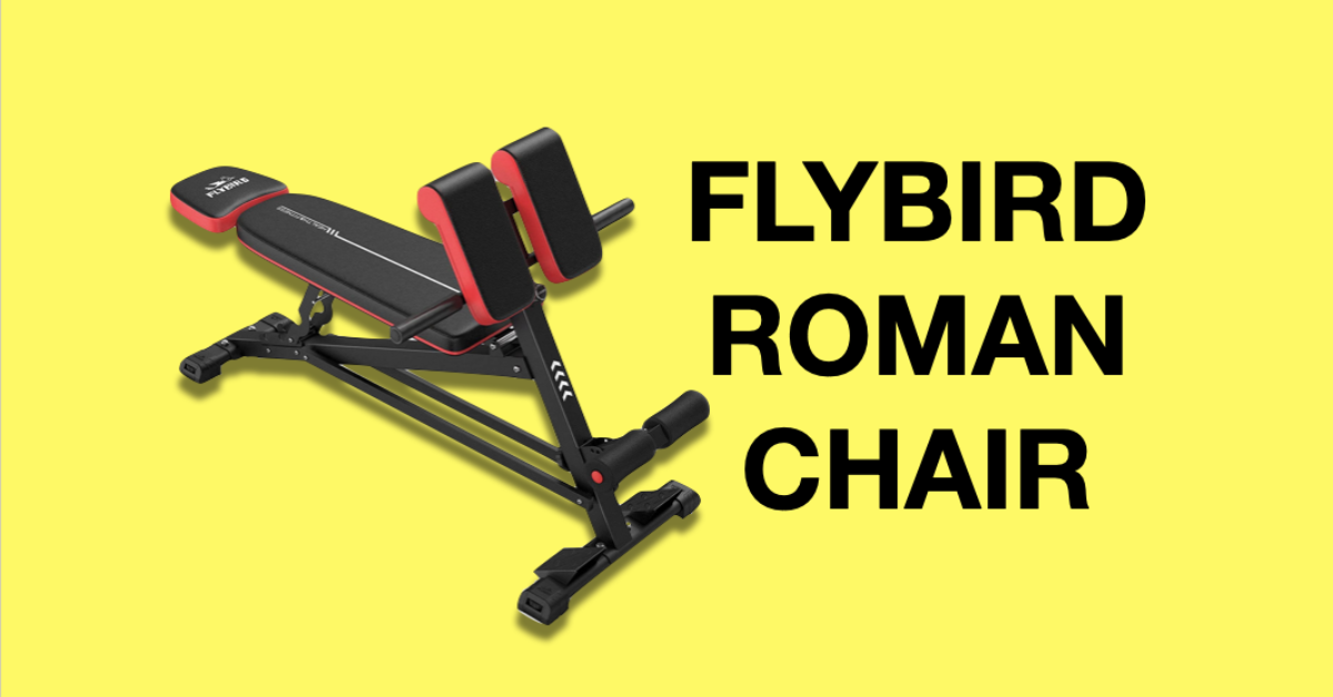 flybird fitness multi functional roman chair bench review