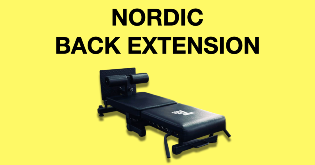 nordic back extension machine reviews the tib bar guy