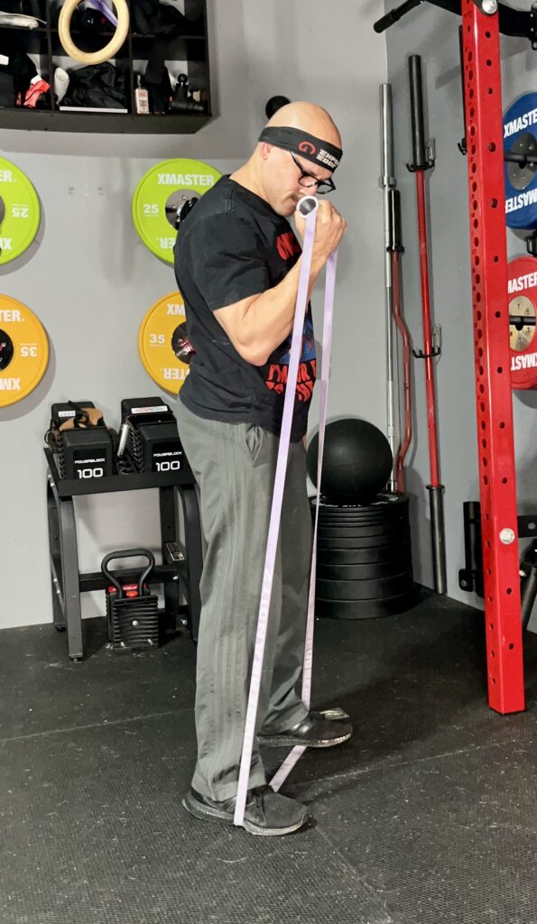 resistance band bicep curls