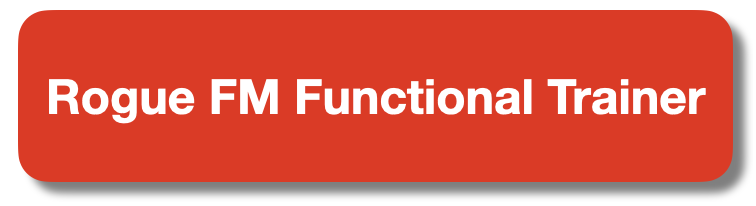 rogue fm twin functional trainer reviews