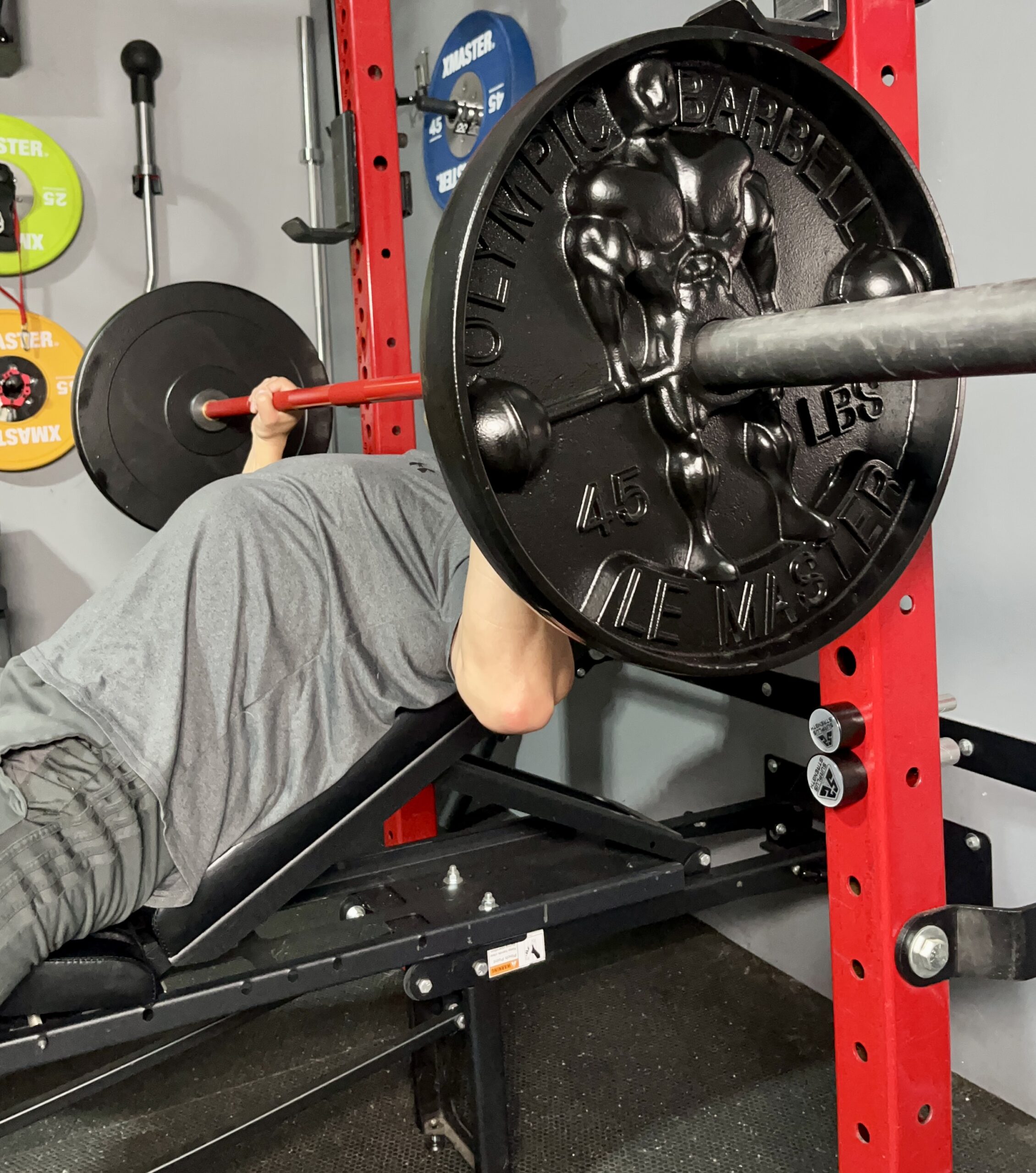 lemaster deep dish weight plates reviews 15