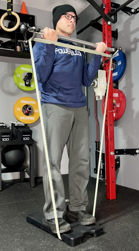 harambe system bicep curls exercise