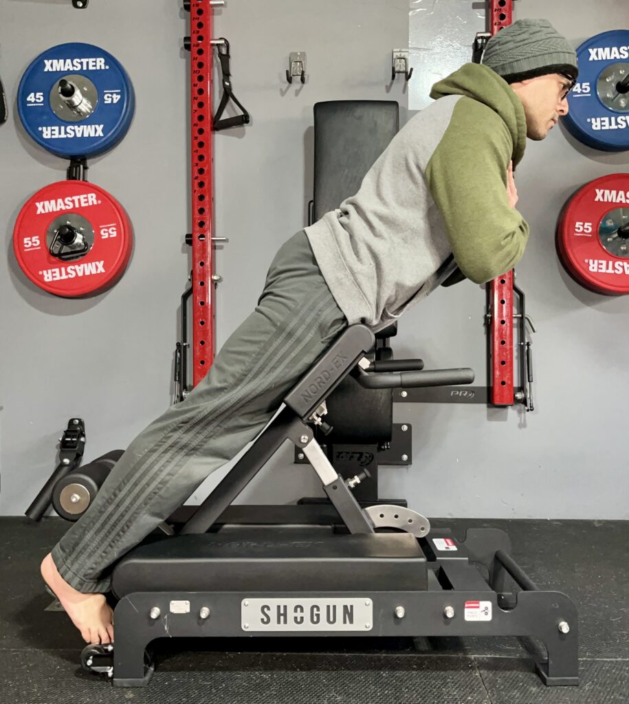 shogun nordex lower back extensions