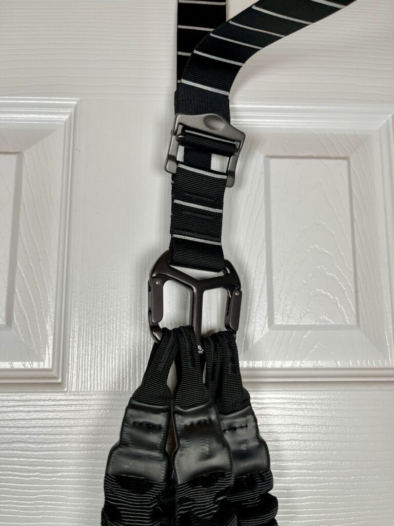 nordic curl regressions