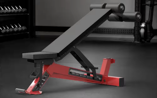 rogue manta ray bench reviews 11