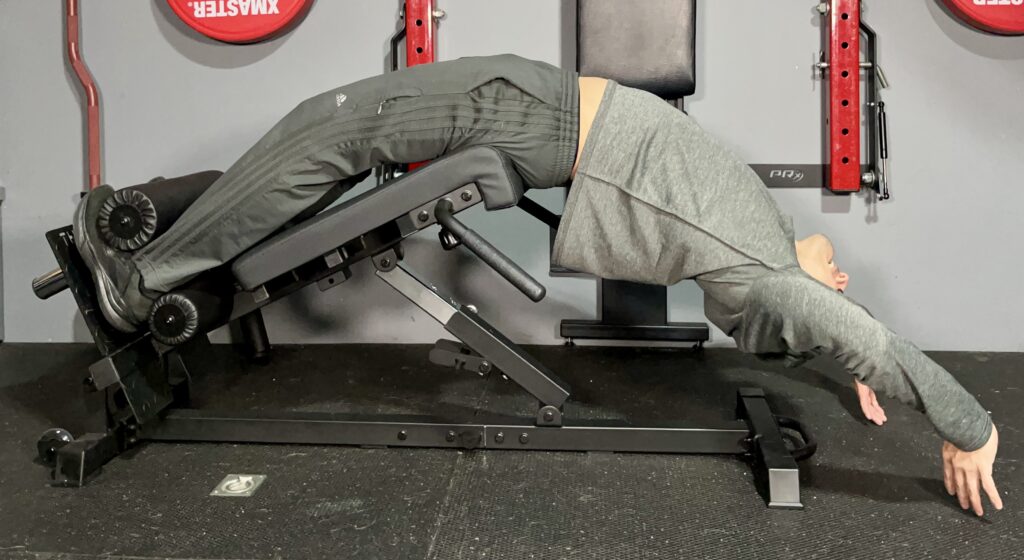 shogun nordex vs tib bar guy nordic back extension ghd sit ups