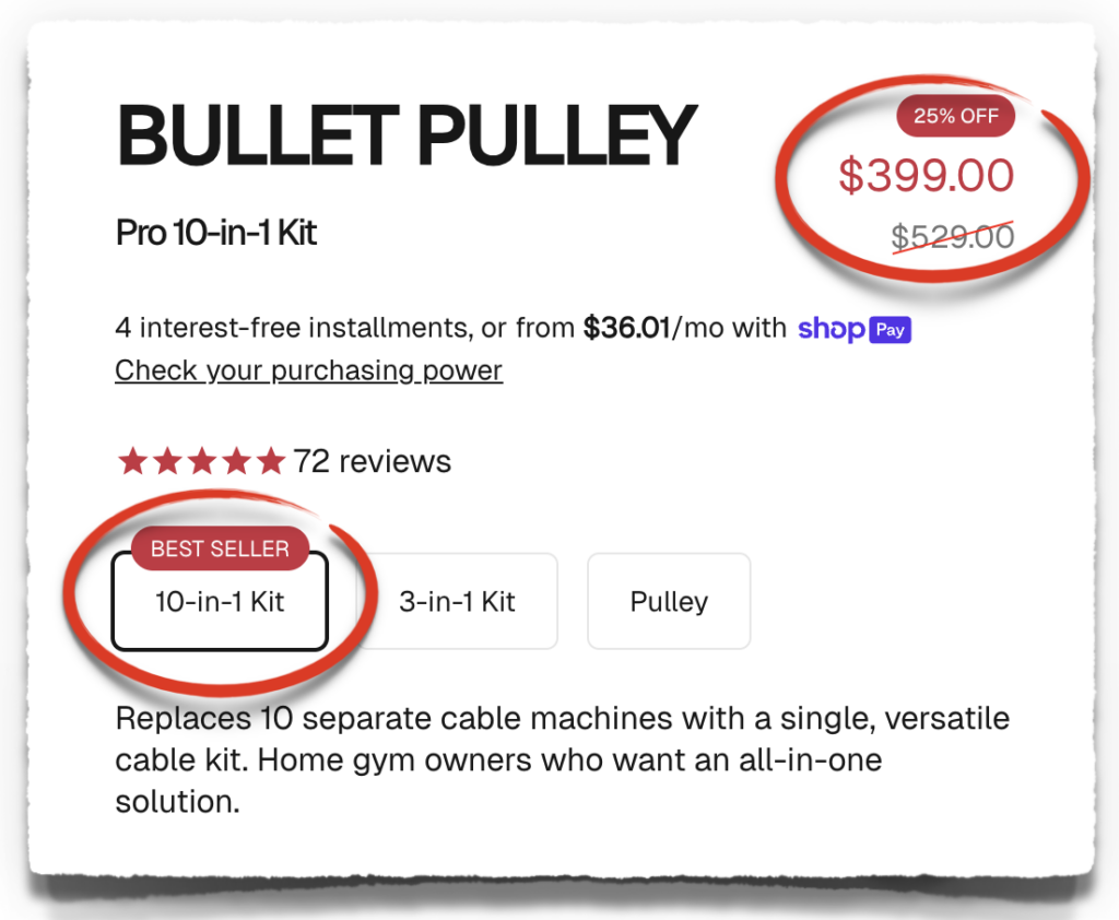 bullet pulley pro price