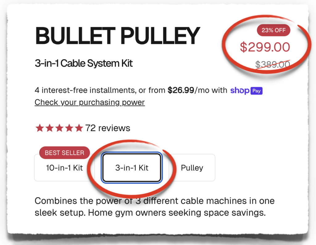 bullet pulley 3 in 1 kit