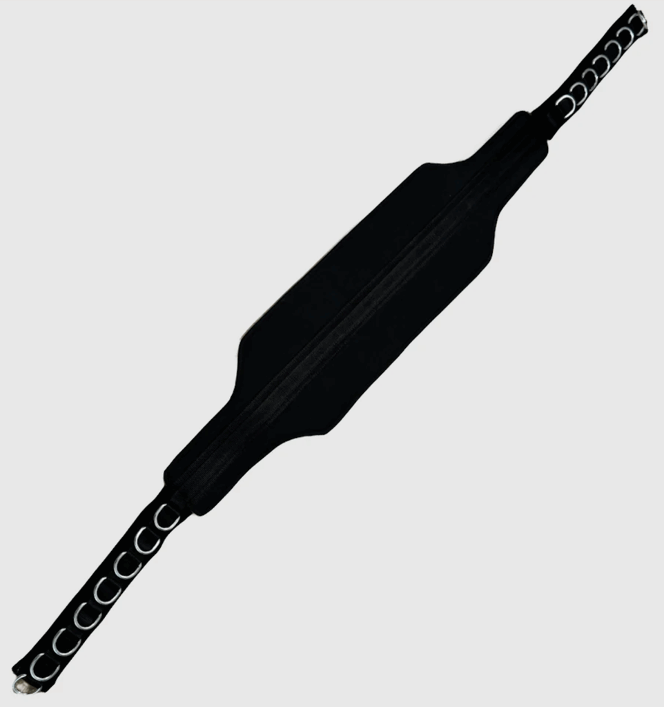 bulletproof cloud 9 belt squat belt