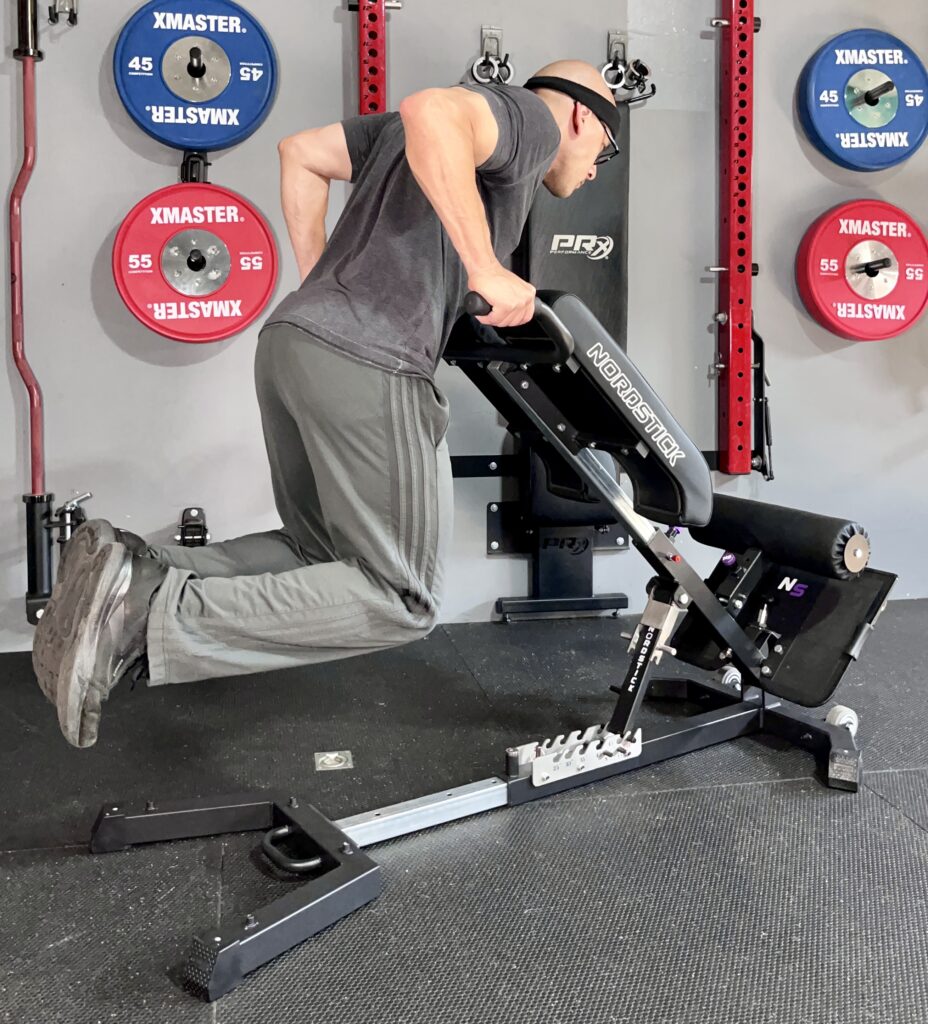 dips on the nordbench pro 