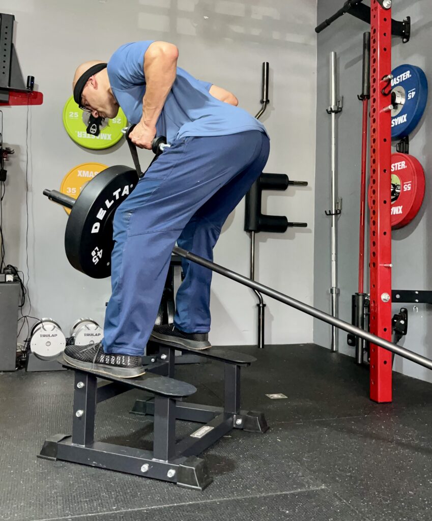 my experience using the delta onyx bumper plates