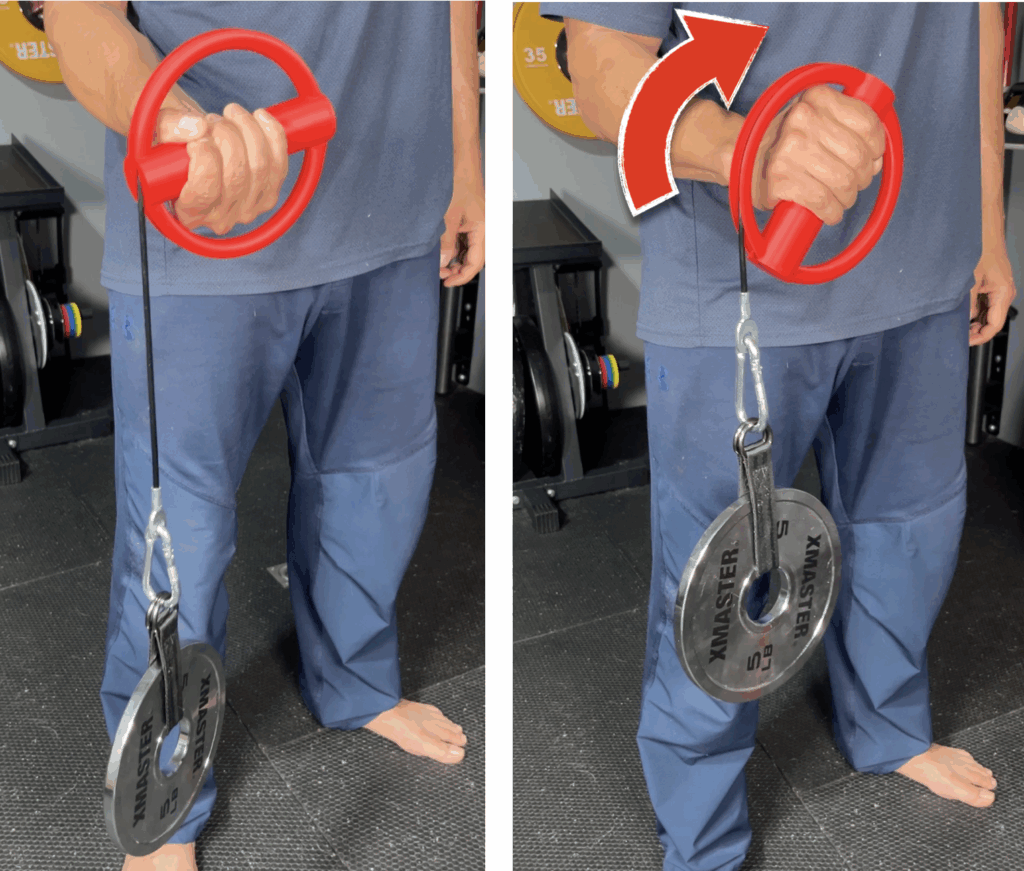 pronation with the grip globe