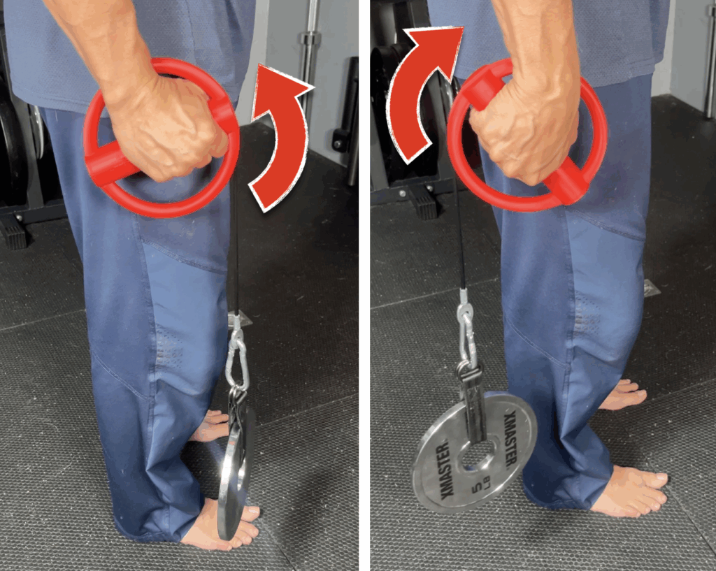 radial and ulnar deviation with the grip globe by hypertrophy by design