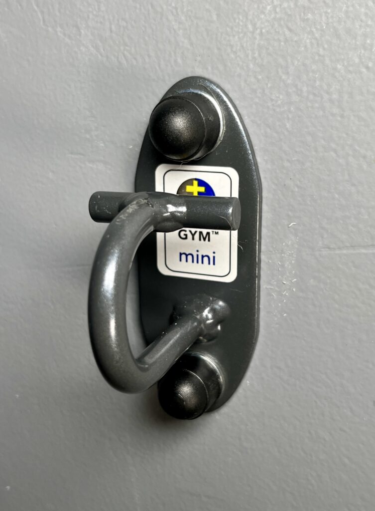 who is the anchor gym mini for?