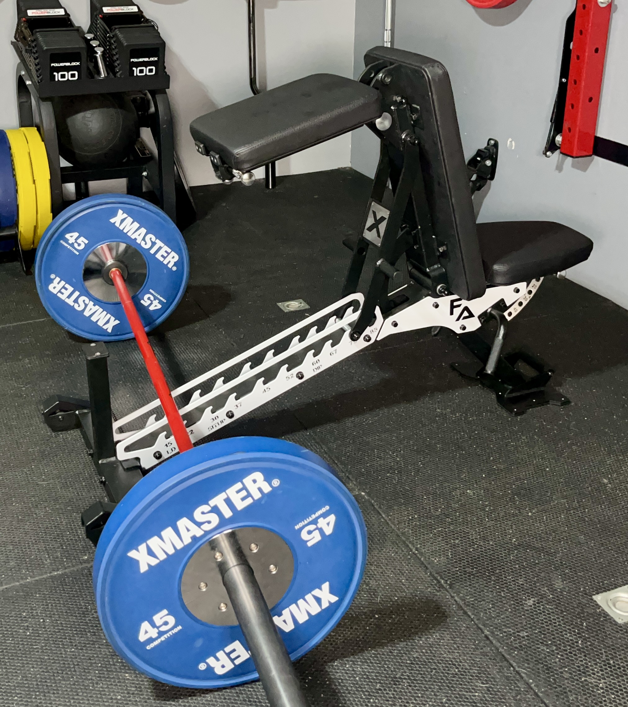 seal rows on the freak athlete abx