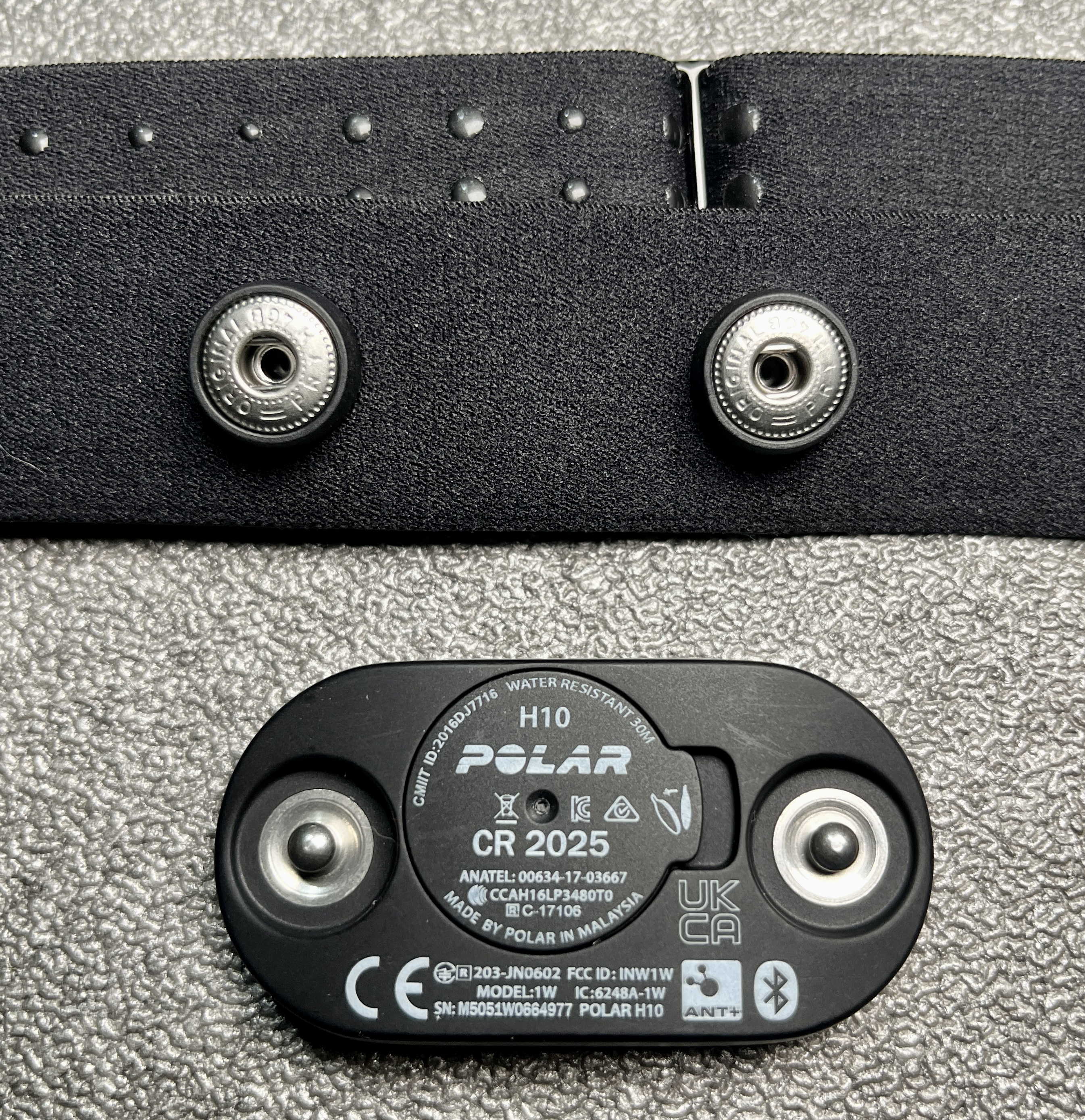 polar h10 heart rate sensor battery