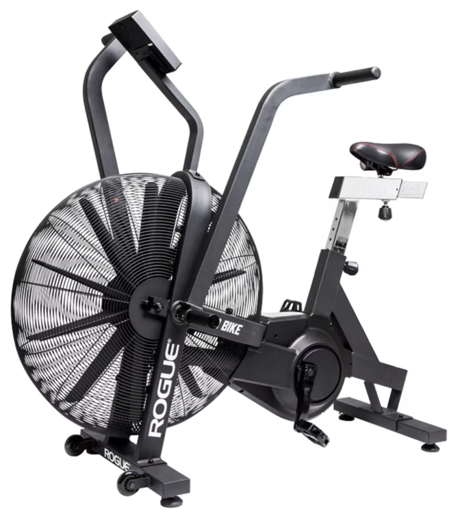 rogue echo bike reviews