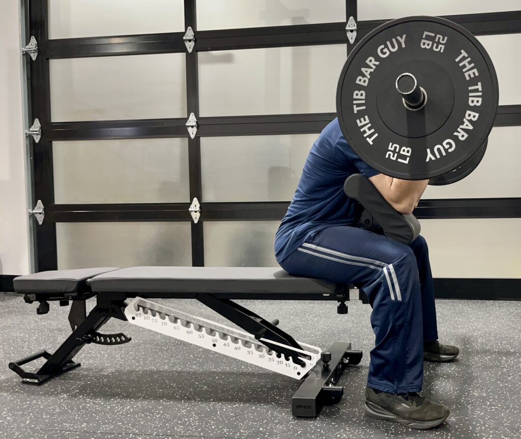 bicep curls on the tib bar guy apex matrix machine reviews 25