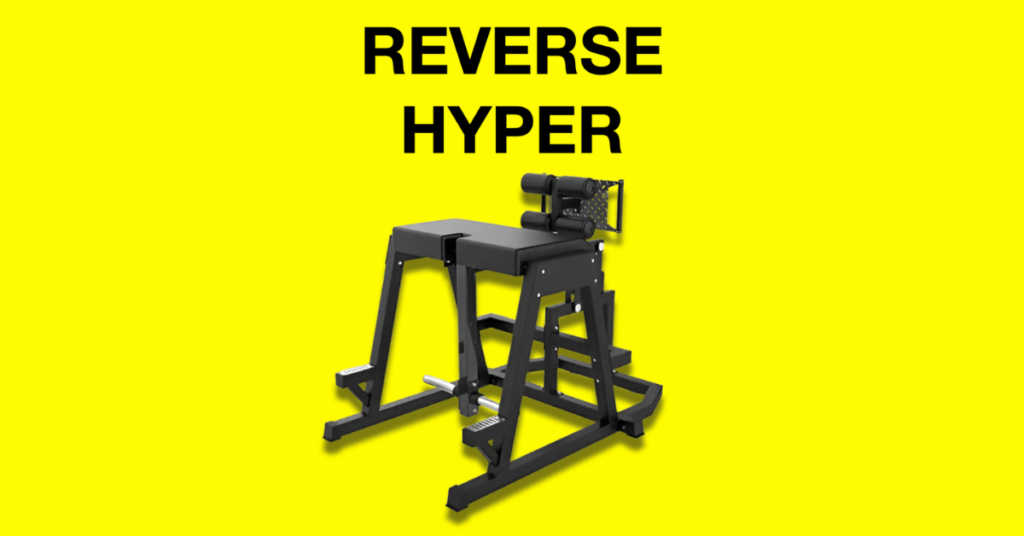 french fitness reverse hyper donkey reviews