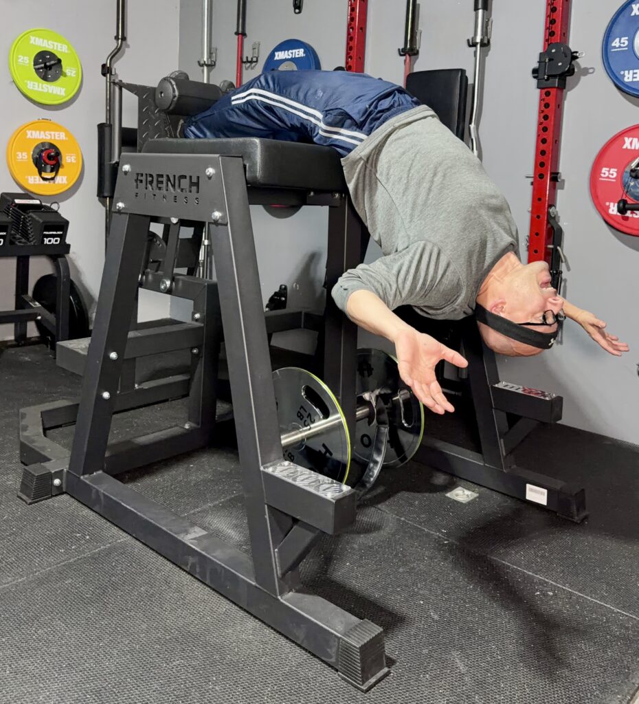 french fitness reverse hyper donkey pros and cons
