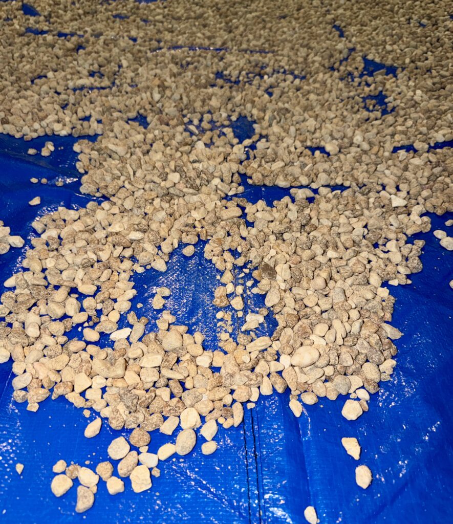 Drying out the pea pebbles